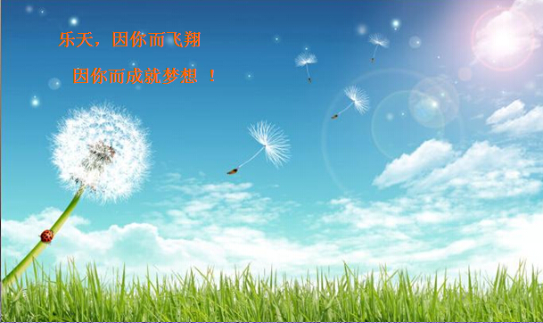 公司简介
